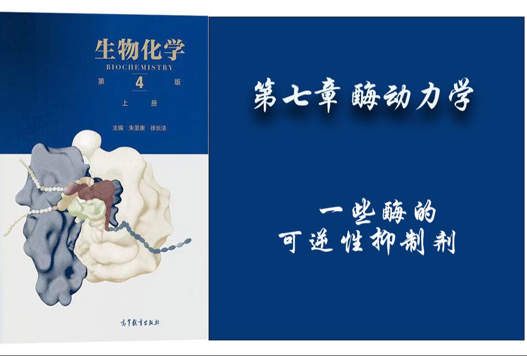 60.生物化学  第七章— 一些酶的可逆性抑制剂哔哩哔哩bilibili