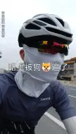 Video herunterladen: 路上被狗子追了