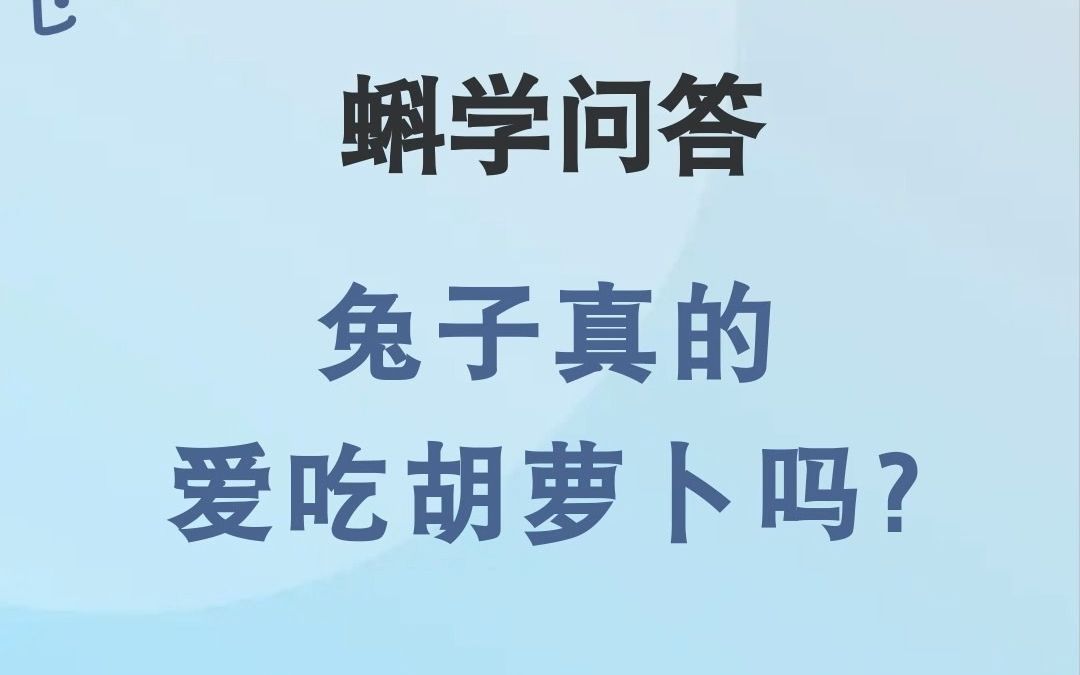 蝌学问答|兔子真的爱吃胡萝卜吗?哔哩哔哩bilibili