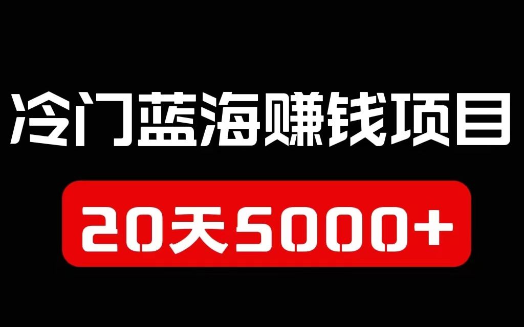 冷门蓝海项目,有人20天赚了5000,内附详细教程,看完你也会!哔哩哔哩bilibili