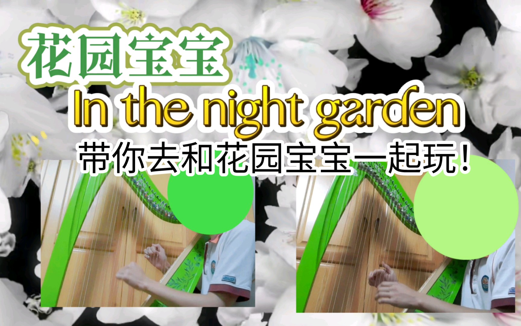【竖琴】花园宝宝主题曲in the night garden