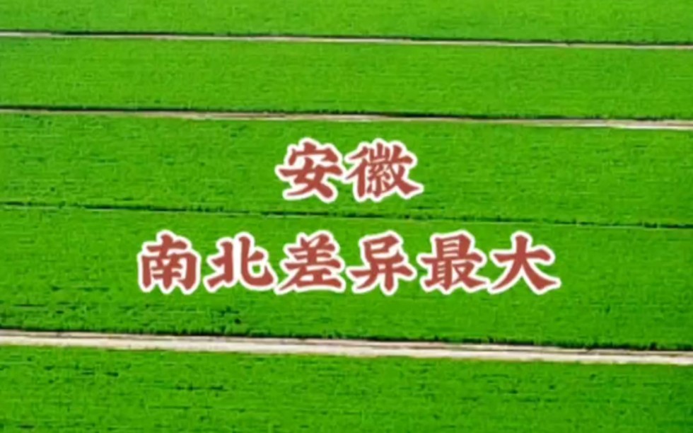 安徽,淮河贯穿全省,是我国南北差距最大的省.其中阜阳、亳州、宿州、淮北四市位于淮河以北,属于纯北方.淮南、蚌埠二市被淮河一分为二,横跨南北...