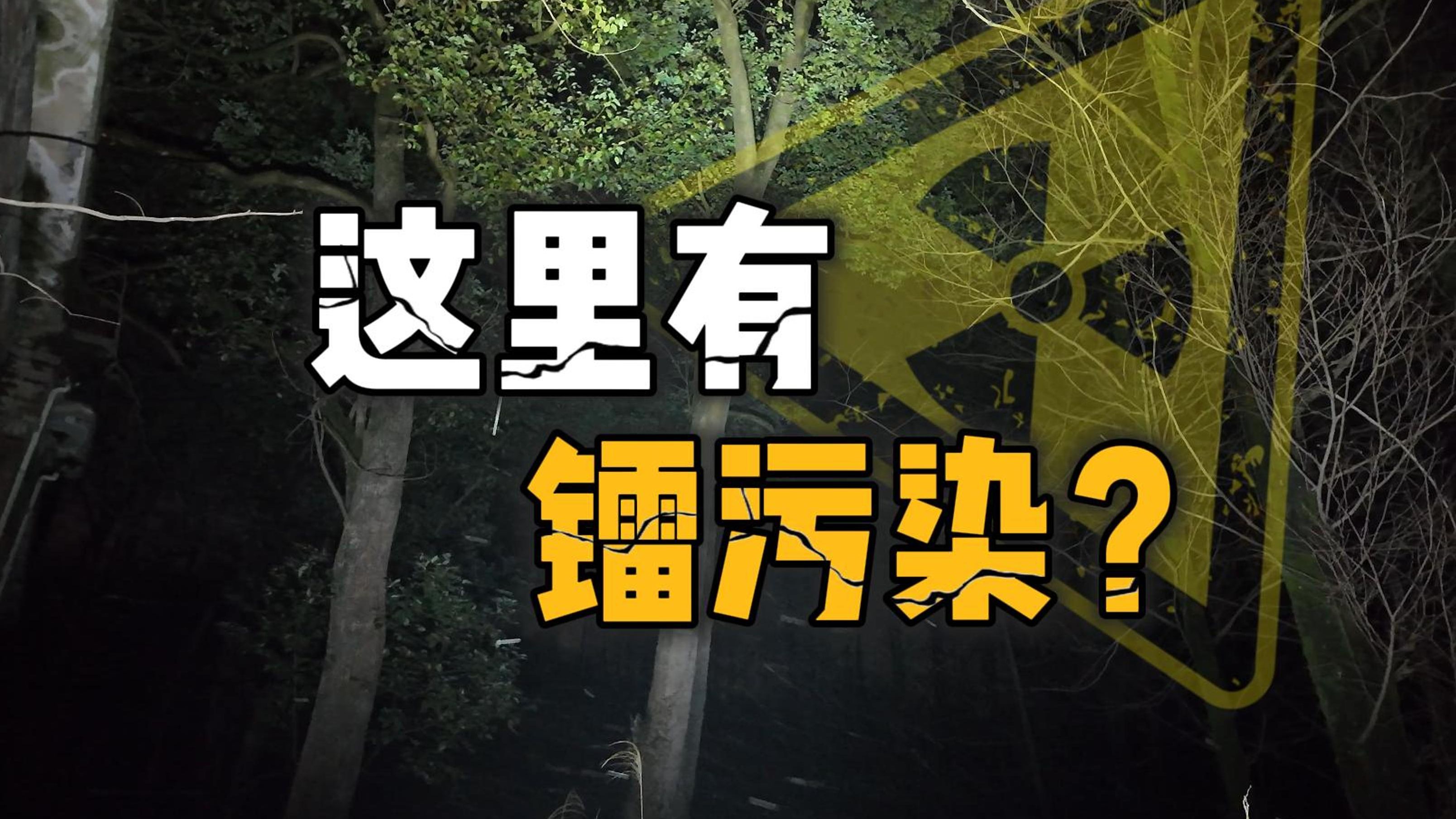 入住放射快乐屋?从安徽北部冒雨流窜到南部并找到藏身处哔哩哔哩bilibili