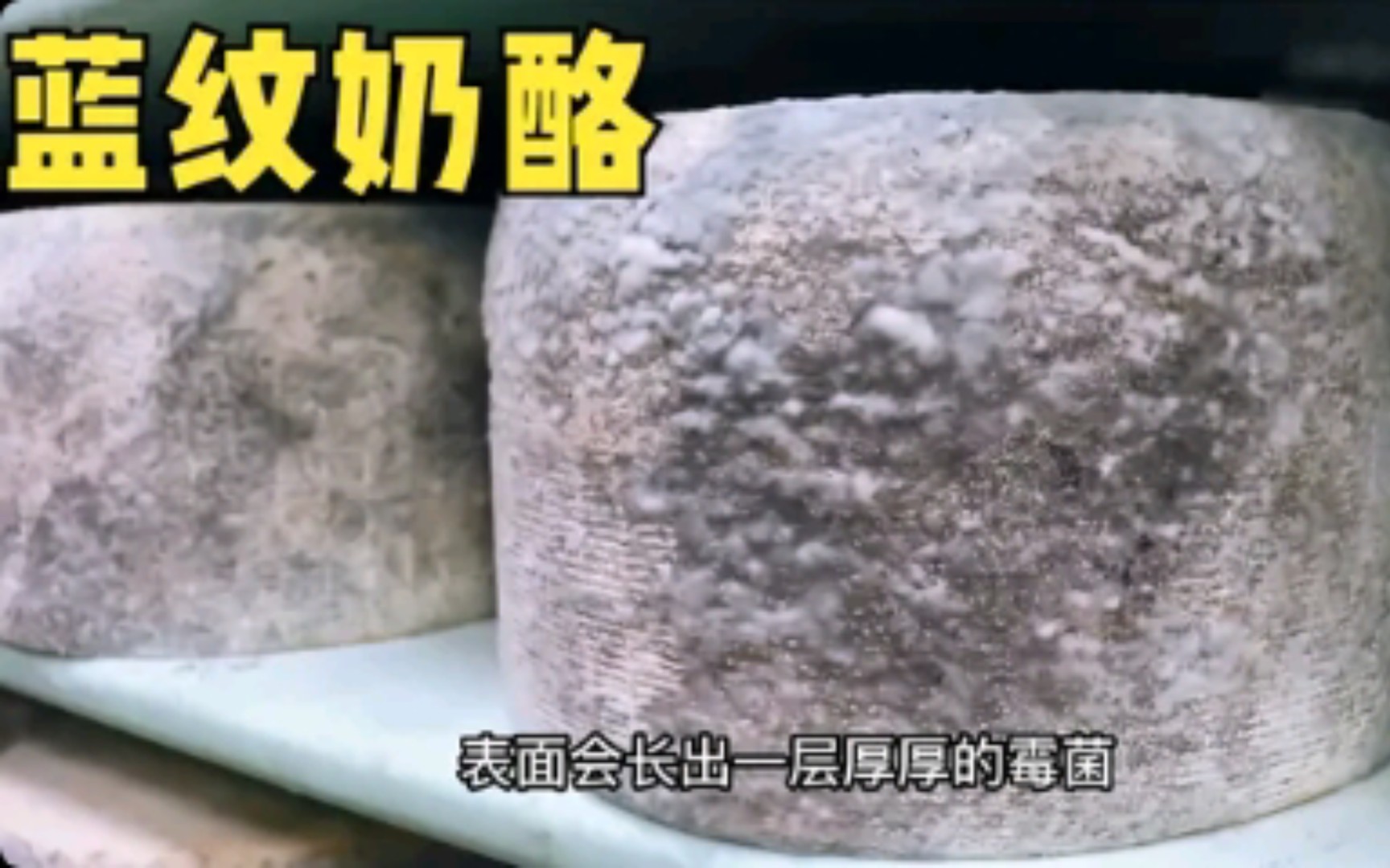 因发霉而闻名世界的法国蓝纹奶酪,闻起来像臭袜子,一口就崩溃