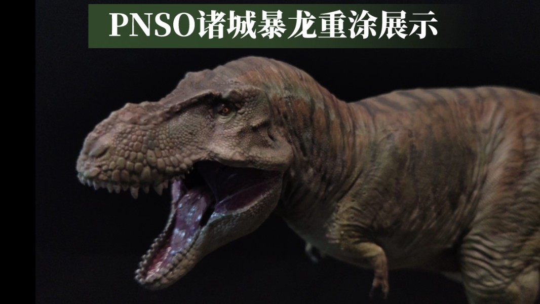 pnso诸城暴龙重涂展示