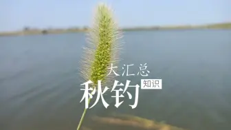 Descargar video: 秋季钓鱼知识大汇总，用时三天总结归纳，方便实用信息量大