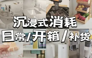 Download Video: 沉浸式日常消耗 补货 开箱 家居改造 38礼物