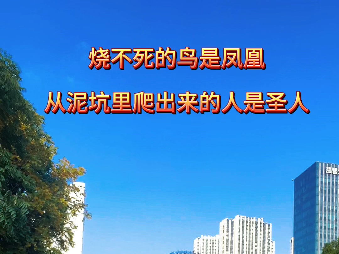 烧不死的鸟是凤凰,从泥坑里爬出来的人是圣人! #博诚人力 #博诚猎头 #猎头 #危机领导力哔哩哔哩bilibili