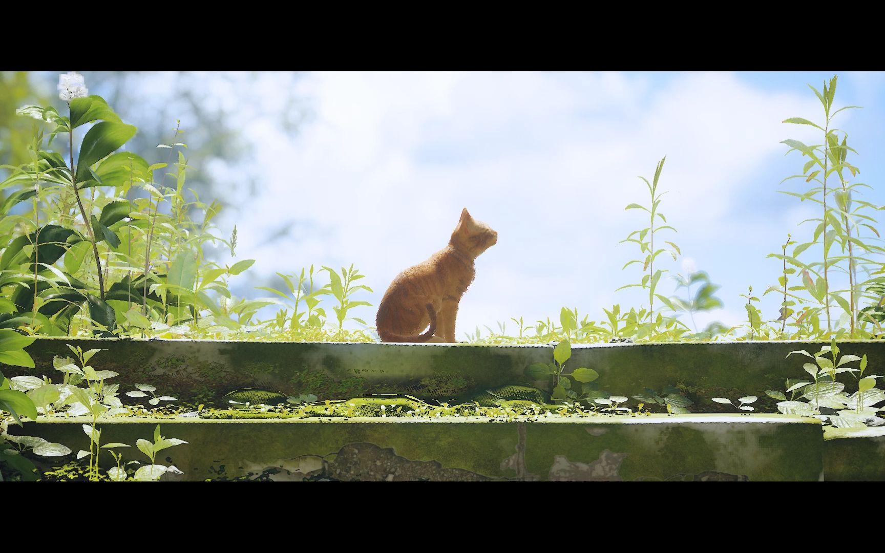 《stray/迷失》小橘猫解开封闭的地下城,重回地面
