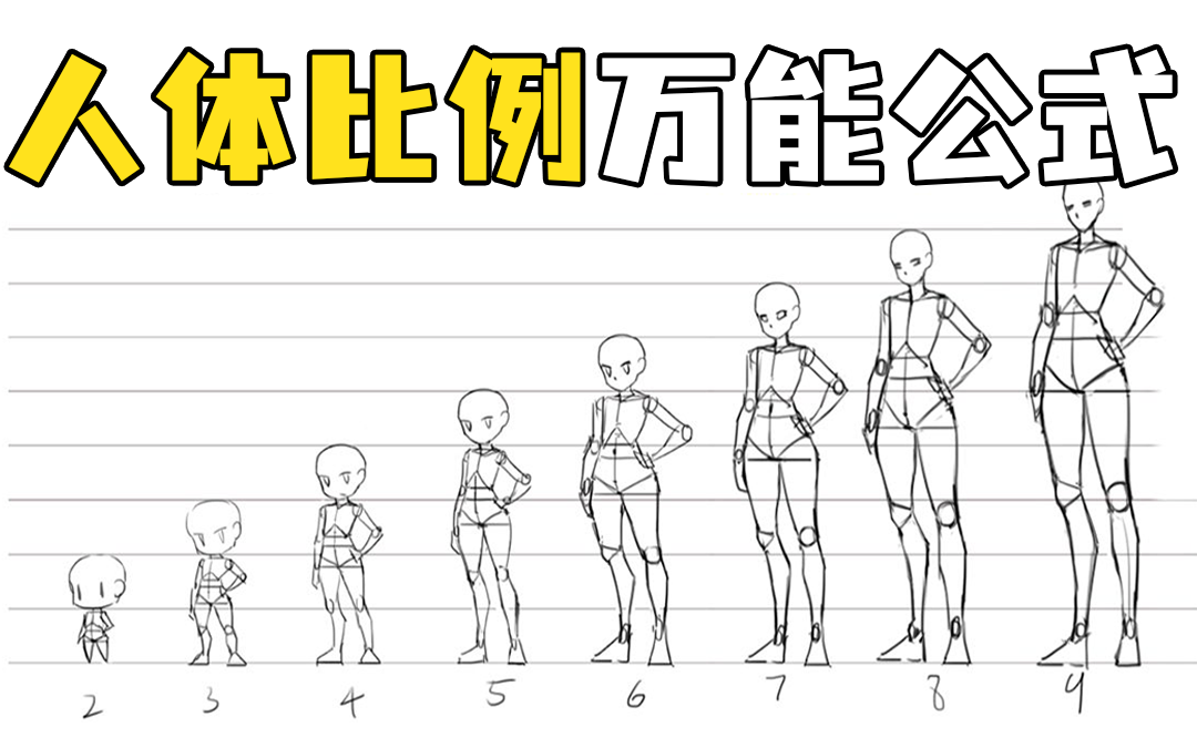 【人体比例】人体比例怎么练?一套万能公式,零基础也能掌握人体比例!人体比例怎么画?/结构/绘画/跟我学/手绘哔哩哔哩bilibili