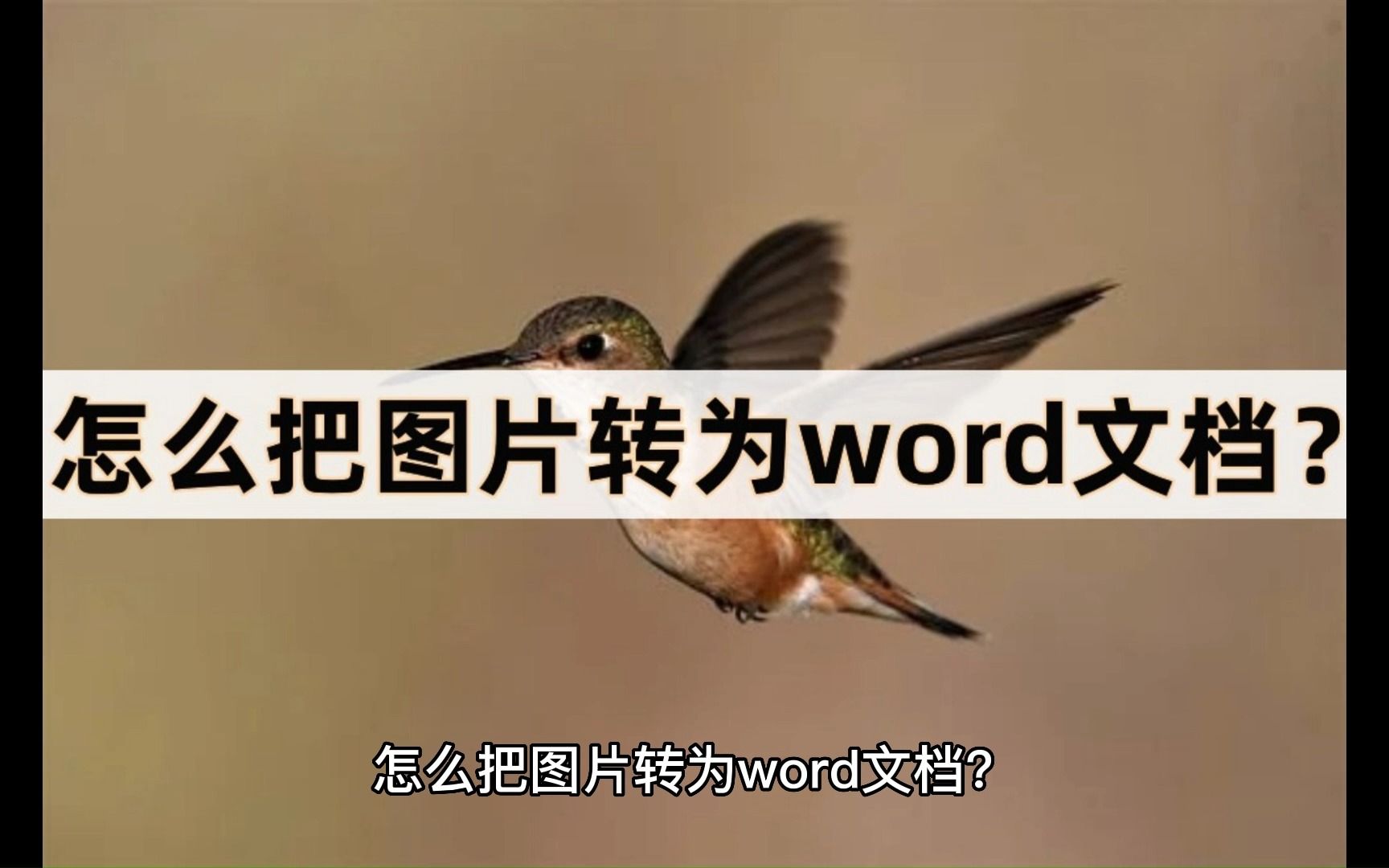 怎么把图片转为word文档?图转word的四种方法哔哩哔哩bilibili