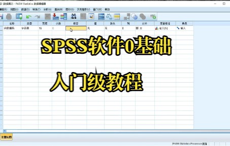 [图]SPSS软件0基础入门讲解