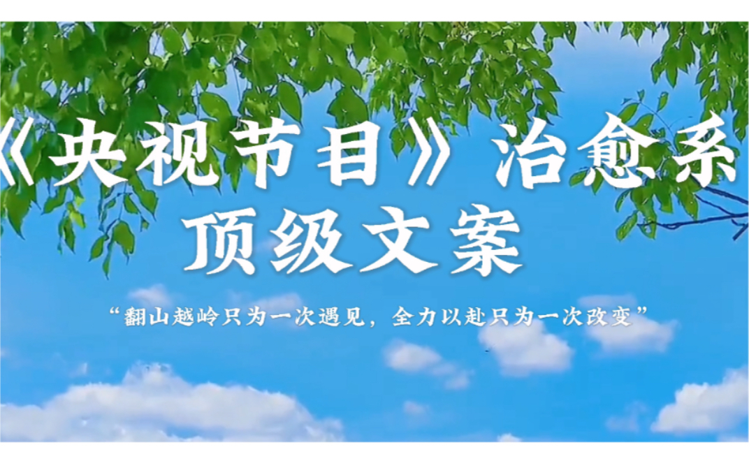 “你的气质,来自你走过的路,你读过的书”. 央视治愈系文案 温暖不煽情哔哩哔哩bilibili