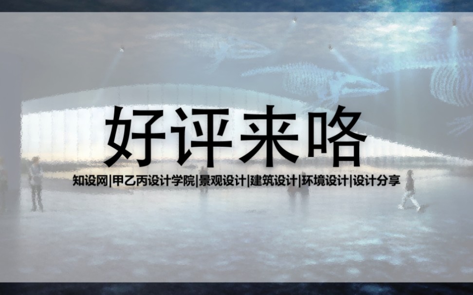 甲乙丙设计学院 vs 知设网 评价部分截图!哔哩哔哩bilibili