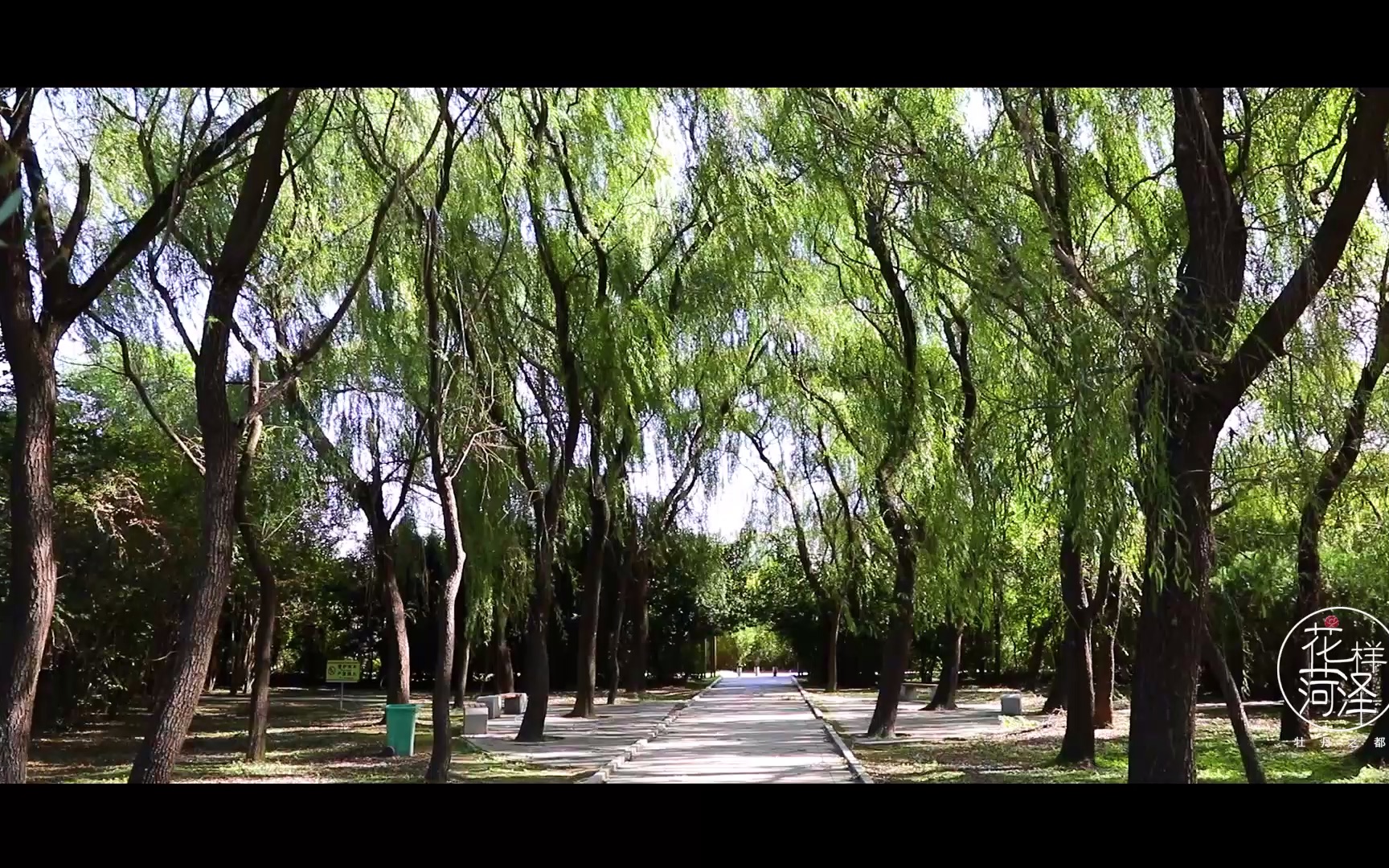 [图]花样菏泽|孙膑旅游城