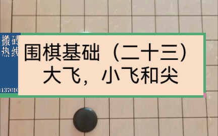 活动作品围棋基础讲堂二十三大飞小飞和尖