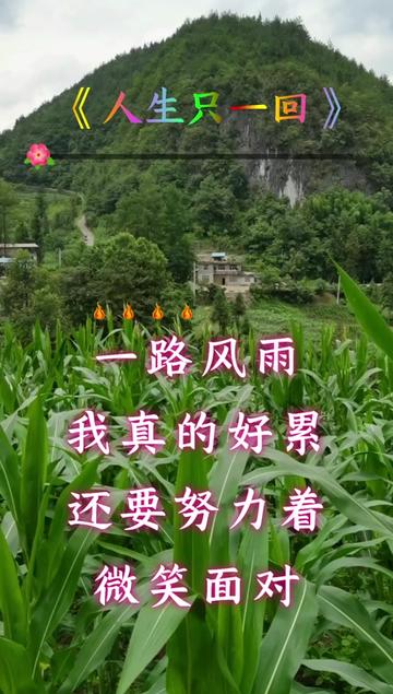 一路風雨我真的好累 #還要努力著微笑面對#歌詞句句入心 #熱門音樂