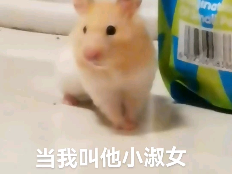 up拿座机拍的视频