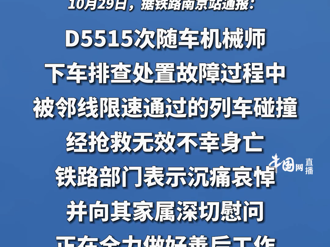 官方通报南京南站列车晚点原因:列车撞野猪,机械师下车排查被邻线列车撞车身亡哔哩哔哩bilibili