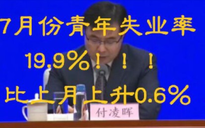 [图]7月份的16-24周岁城镇青年人失业率为19.9%比上月上升0.6%