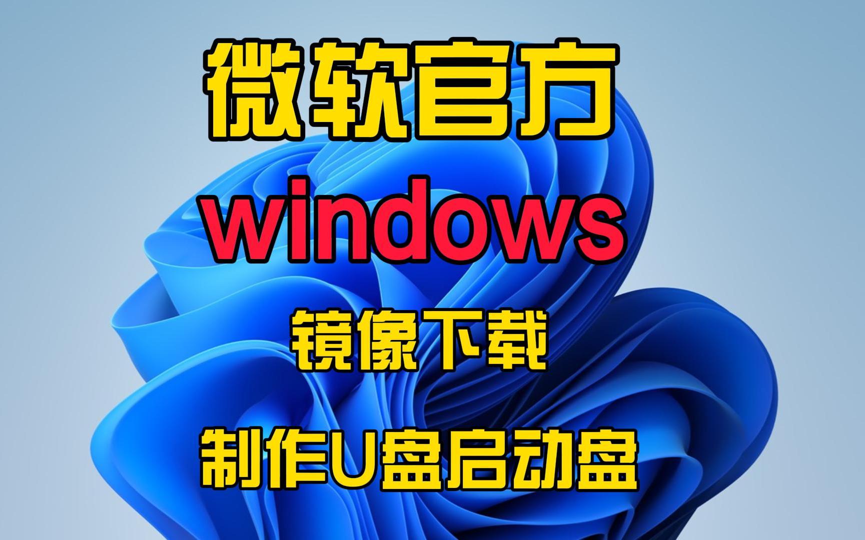 微软官方windows镜像下载及制作U盘启动盘,支持win11,win10,win8.1【保姆级教程】哔哩哔哩bilibili