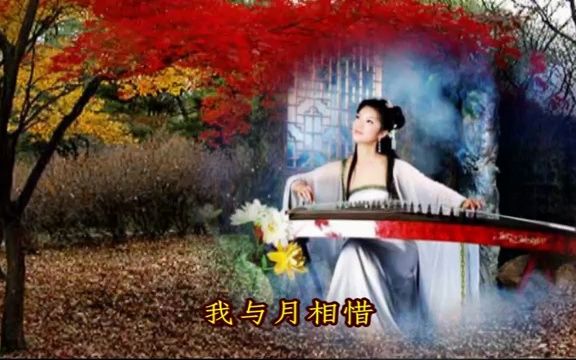 [图]《云水禅心》风中采莲 歌词字幕版 最美的道教神曲