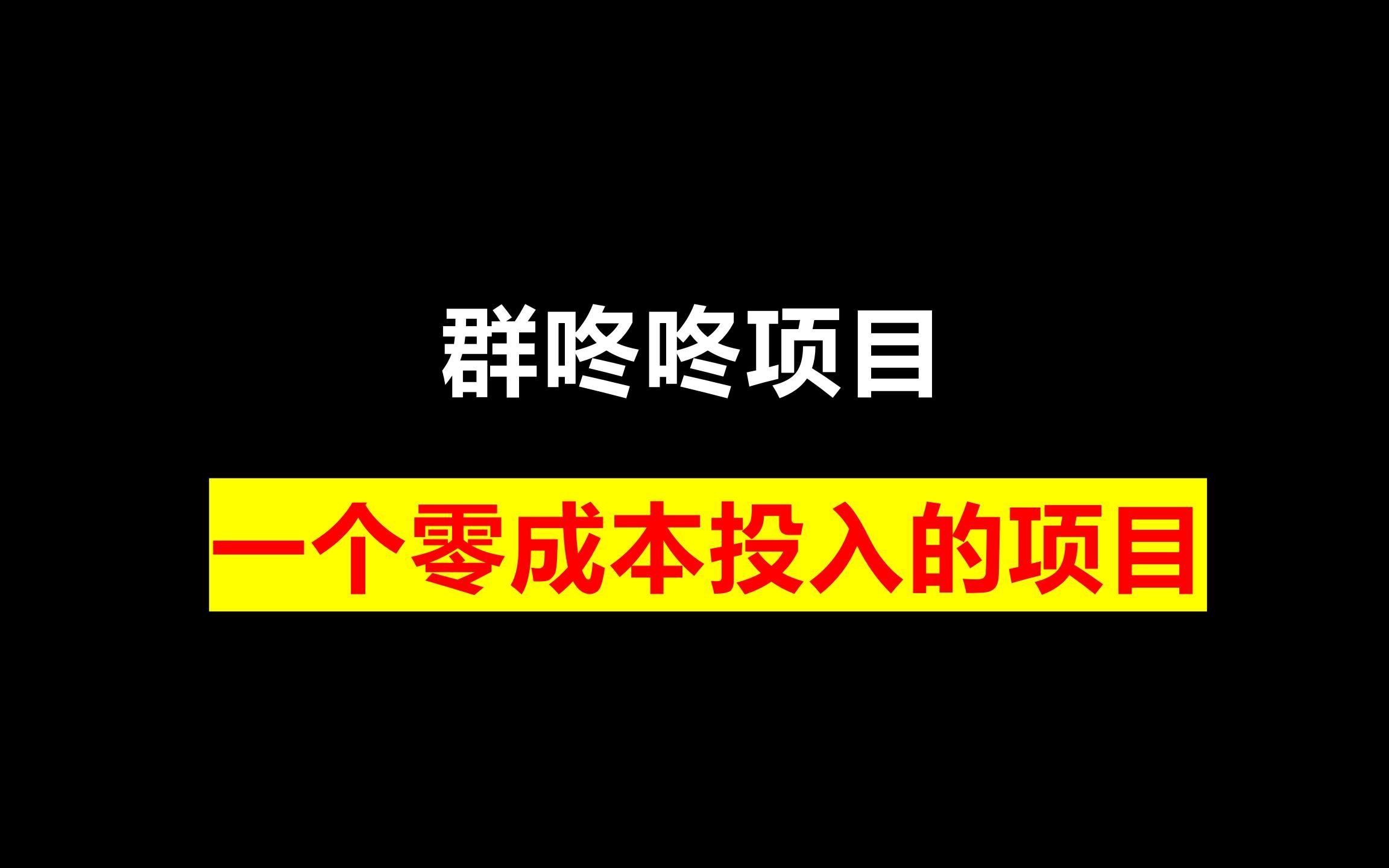 群咚咚项目,一个零成本投入的项目哔哩哔哩bilibili