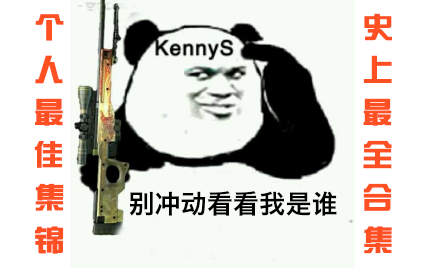 csgo内格夫表情包图片