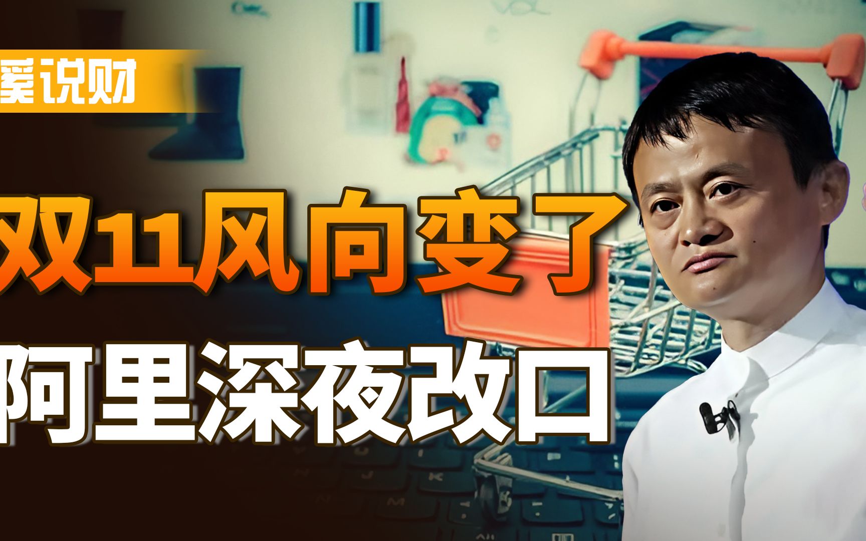 今年双11风向不一样了?阿里深夜改口,京东唯品会变化更大哔哩哔哩bilibili