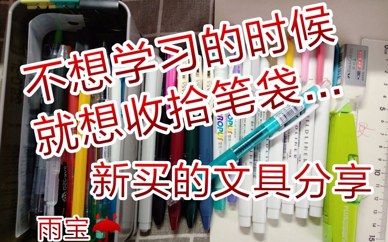 雨宝分享丨最近新买的文具推荐丨就算是一个翻笔袋之类的整理文具的视频吧~丨会有相对平价的笔的推荐哦~嘿嘿哔哩哔哩bilibili