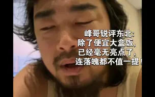 Download Video: 峰哥锐评东北:除了便宜大盒饭，已经毫无亮点了，连落魄都不值一提!