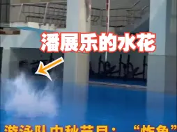 Télécharger la video: 游泳队中秋节目：“炸鱼” 网友：水花太大只值5分 让潘队上10米台加练