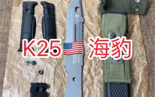 Video herunterladen: K25 海豹