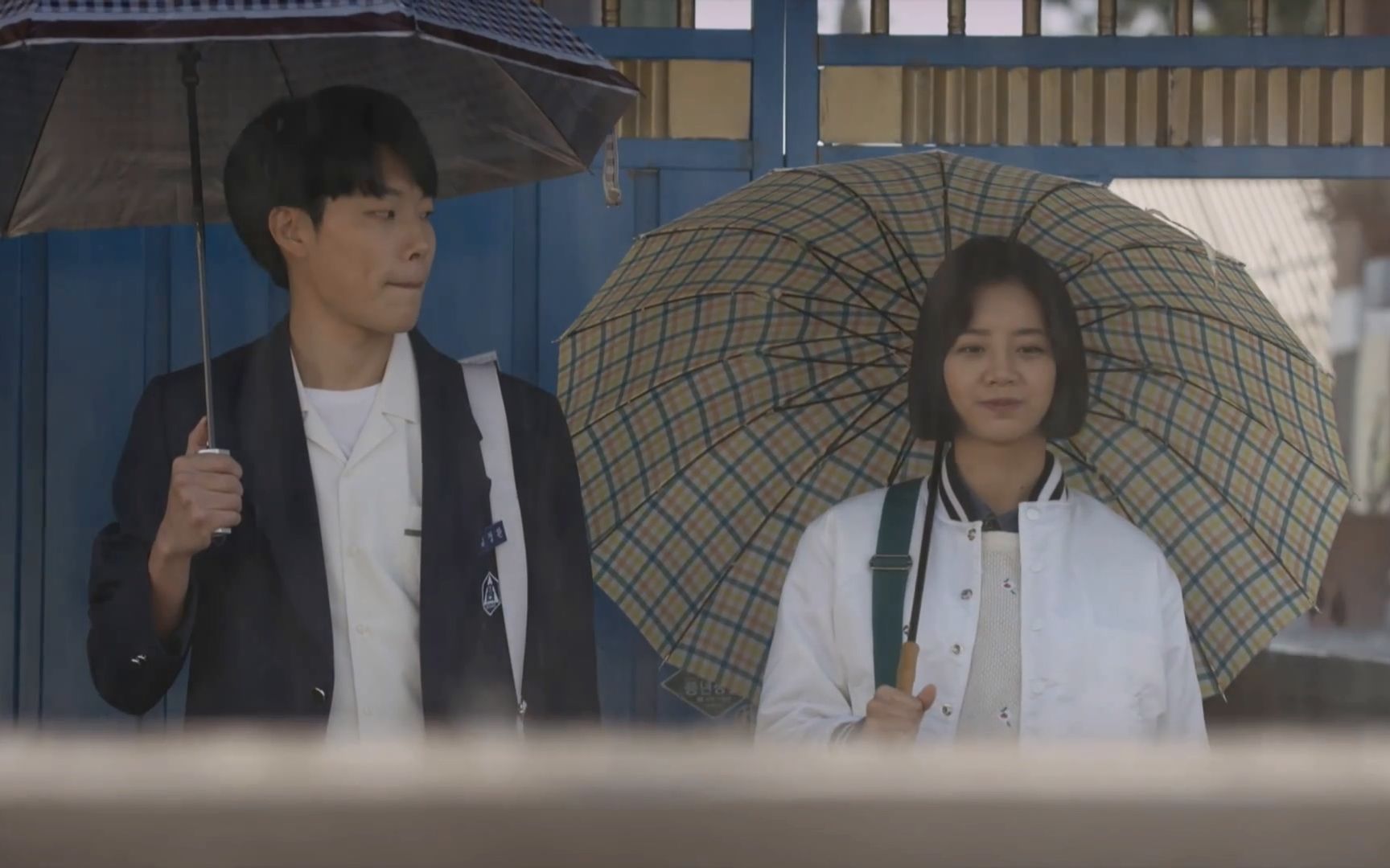 活动作品请回答1988狗善狗焕德善不能说的秘密