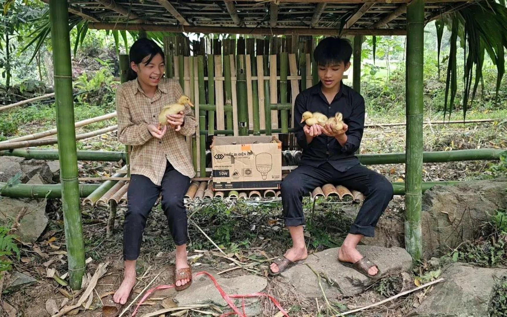 山区男孩女孩搭好鸭棚,去市场买鸭娃饲养哔哩哔哩bilibili