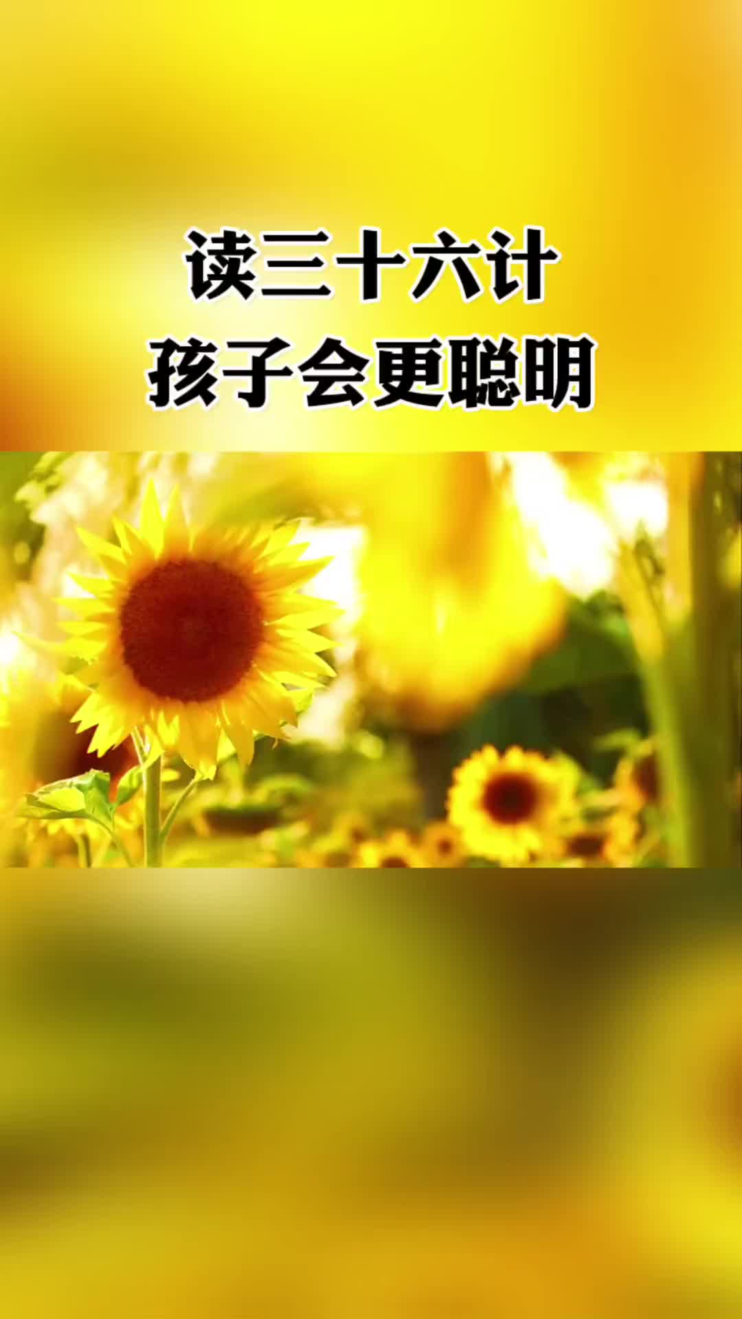 读三十六计孩子会更聪明哔哩哔哩bilibili