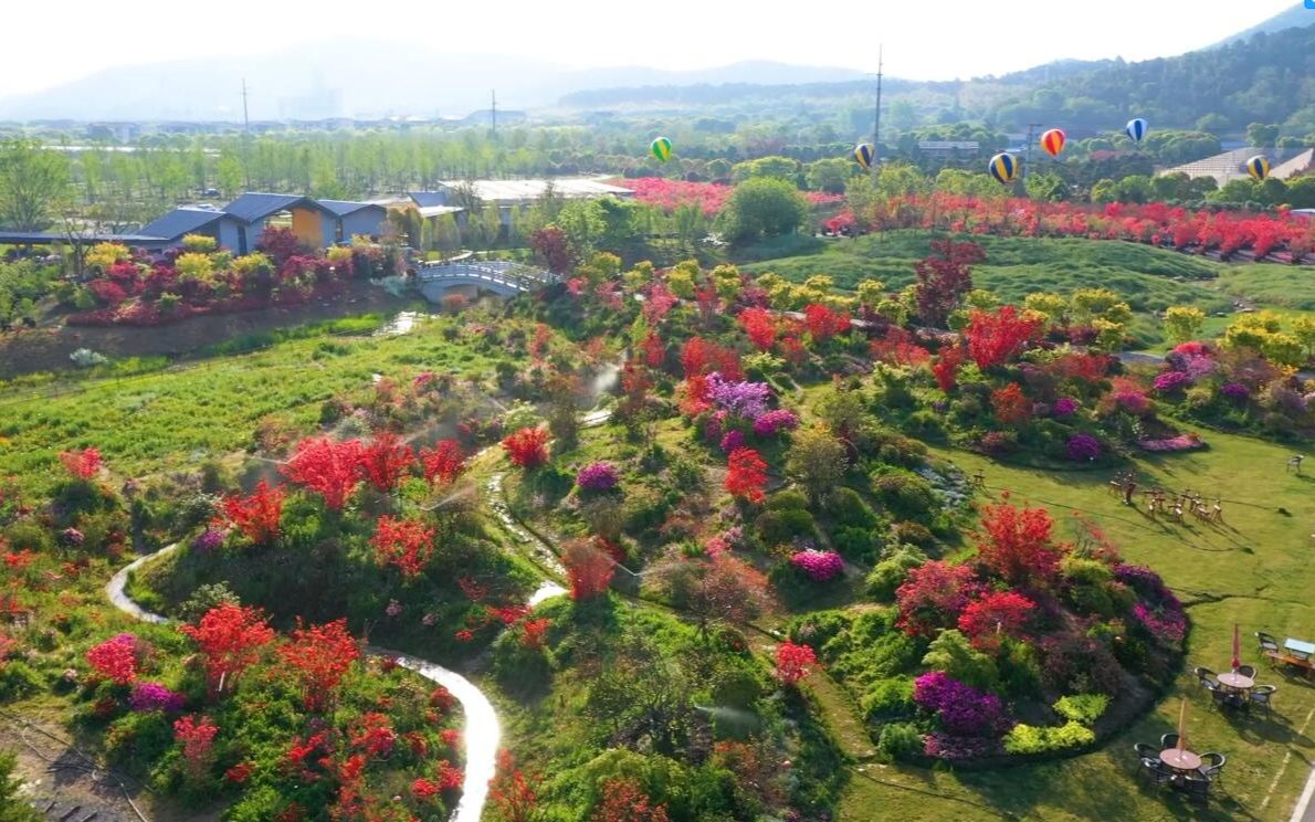 九龙湾花星球-无锡导览_哔哩哔哩 (゜-゜)つロ 干杯~-bilibili