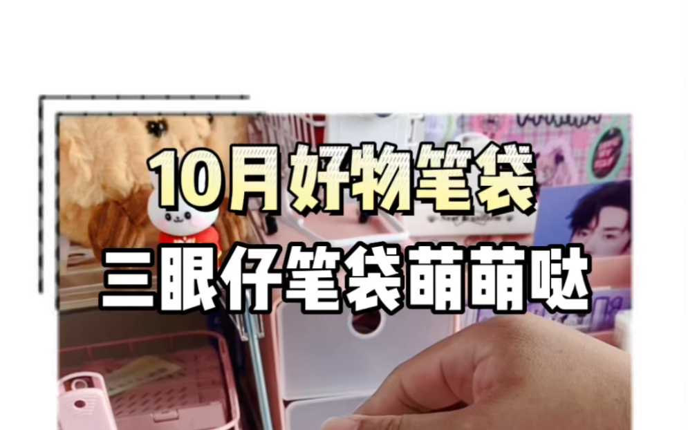 10月高颜值笔袋哔哩哔哩bilibili