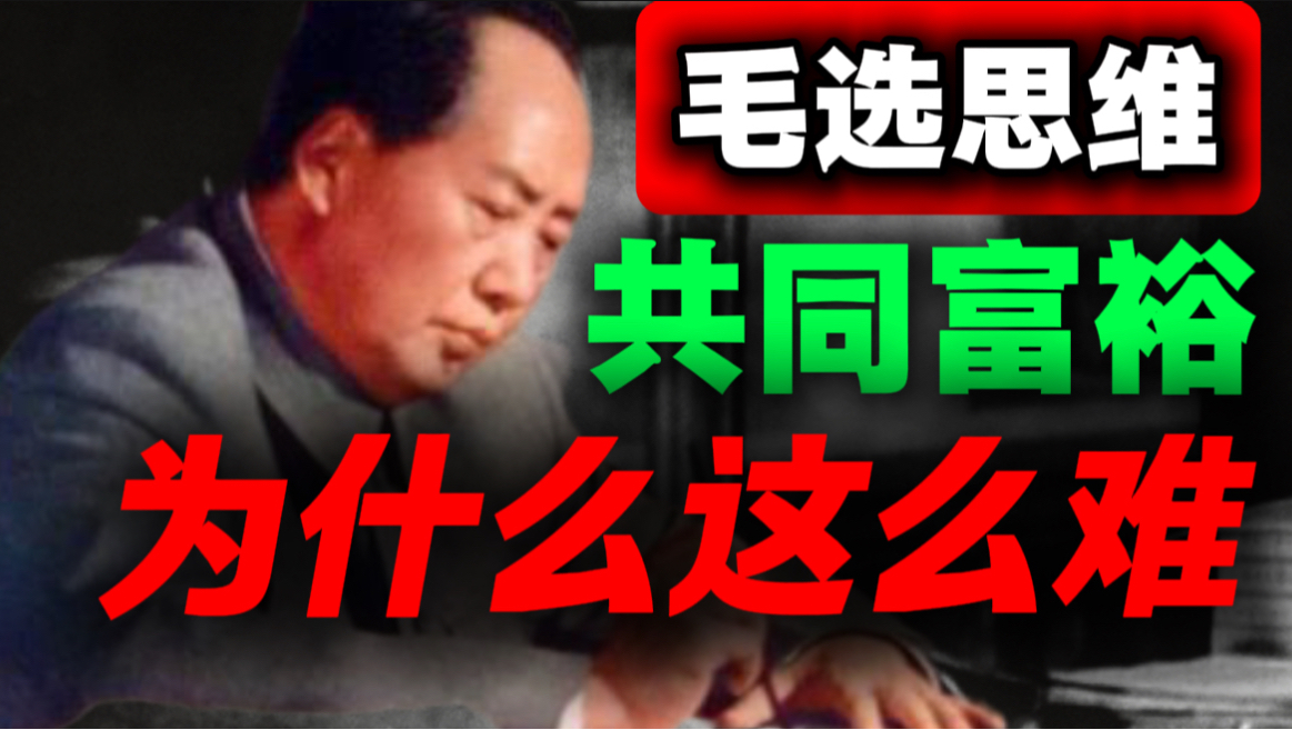 看完《毛选》终于明白，原来富人更期待共同富裕｜第42期｜毛选解读｜毛选思维