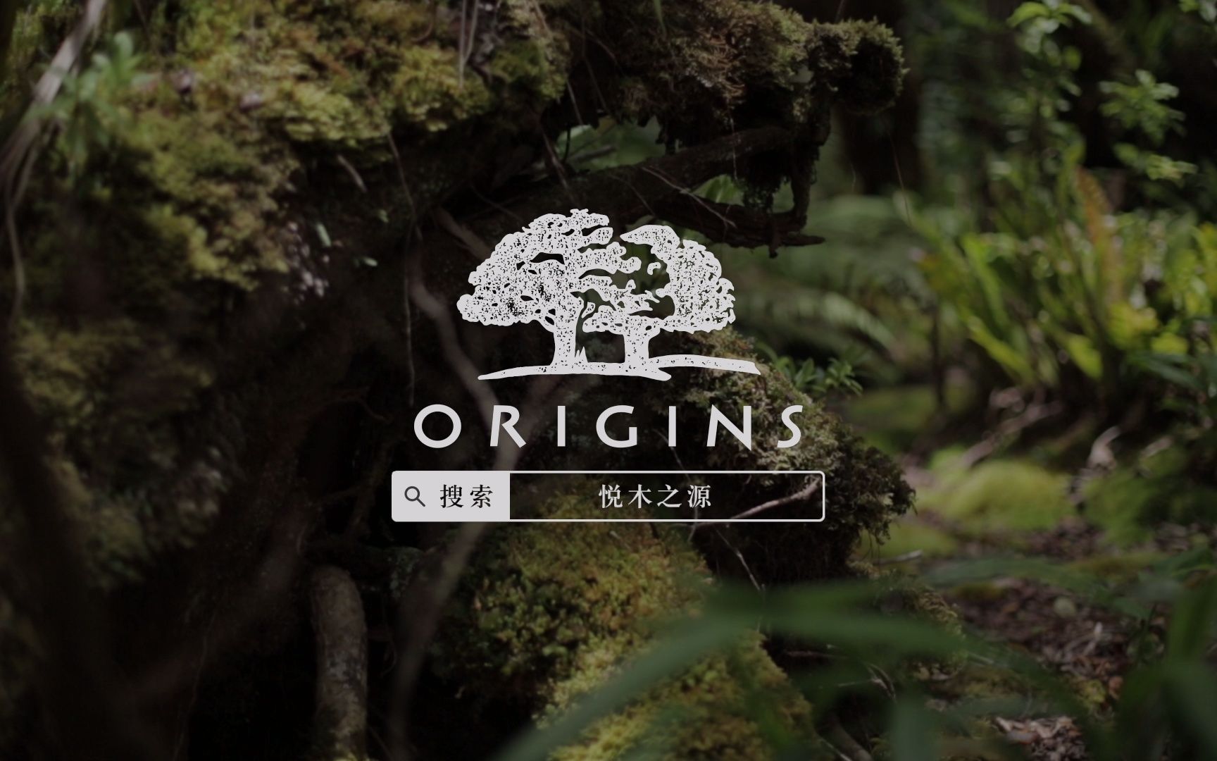 悦木之源广告片