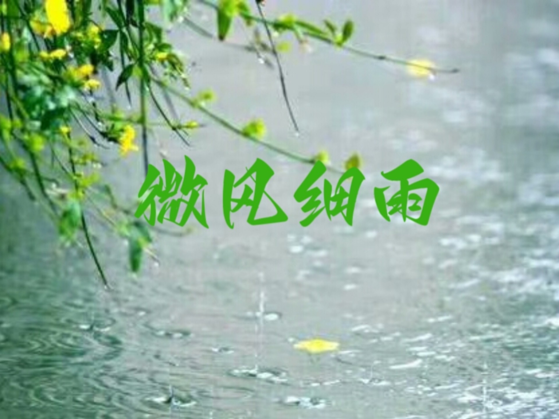 经典好歌#《微风细雨》王菲#爱情的美好与甜蜜,情感的细腻与温柔,生活
