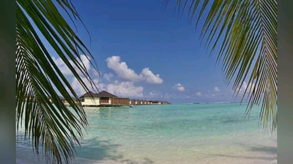 夏天的海边真美丽