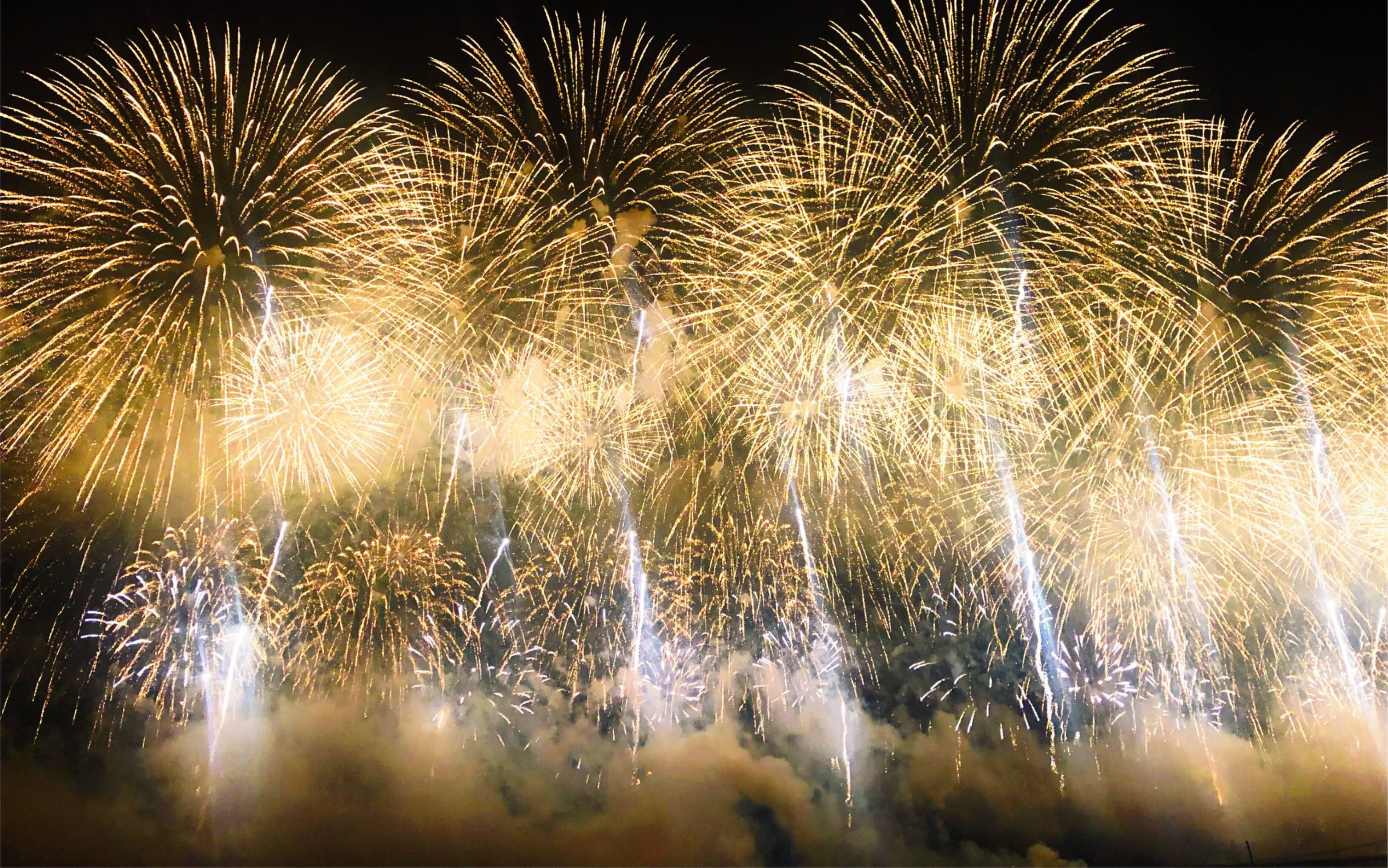 20190802 日本长冈花火大会