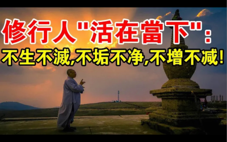 在真正的“当下”里:不生不灭、不垢不净、不增不减,这才是真正的修行哔哩哔哩bilibili