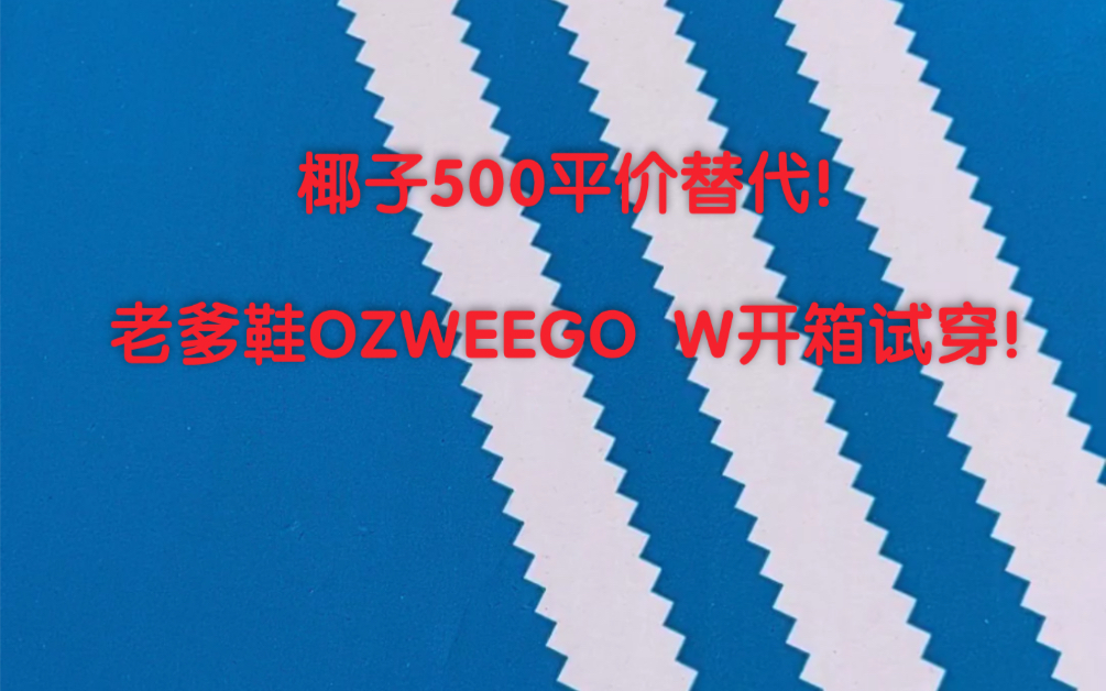 椰子500平价替代!最适合女生的老爹鞋OZWEEGO W开箱试穿!哔哩哔哩bilibili