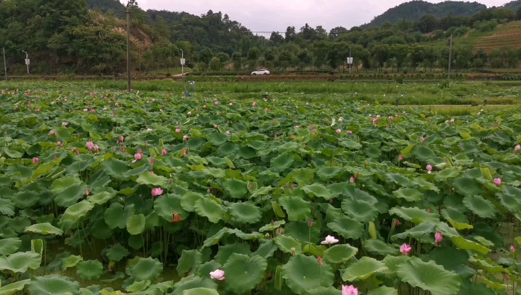 中国最富裕的浙江农村,也是非常具备历史底蕴的,一起来看看,诸暨的一个古村落十四都村哔哩哔哩bilibili