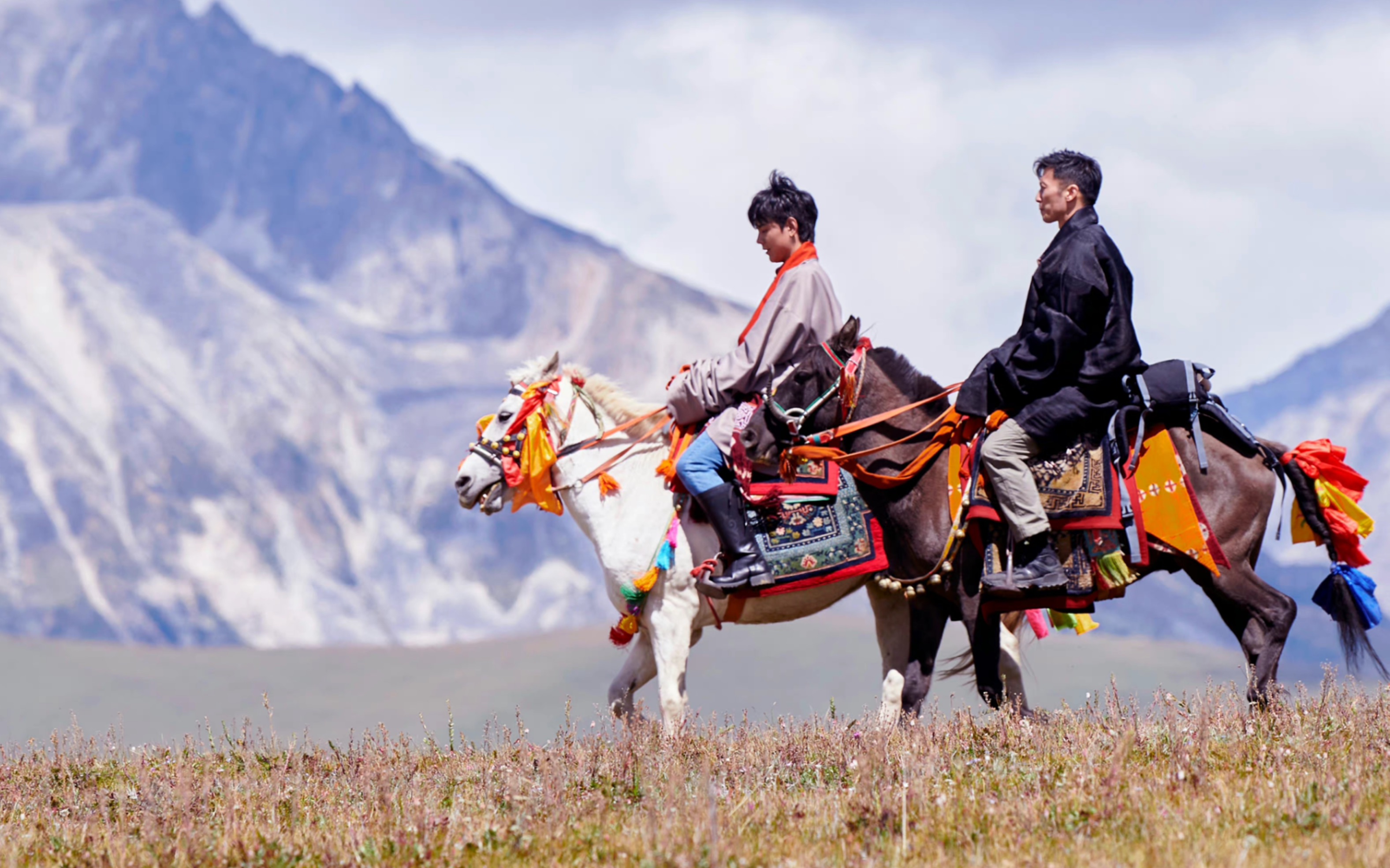 其实我不怎么会骑马没事我教你年下就是坠屌的丨丁真x谢霆锋