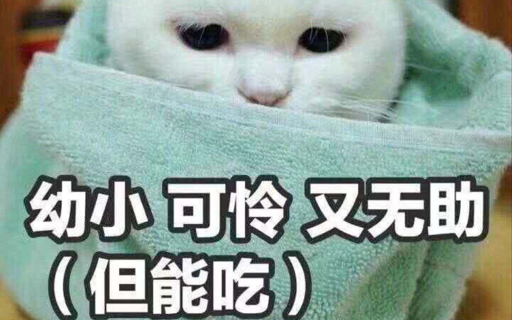 活动作品使命召唤手游下次一定rus79u维京海盗