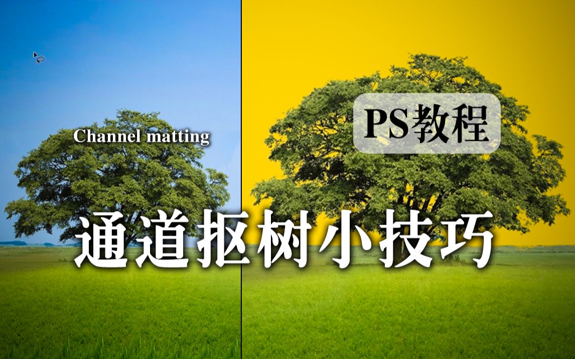 【ps教程】还有人不会扣树?!这个教程藏好了哔哩哔哩bilibili