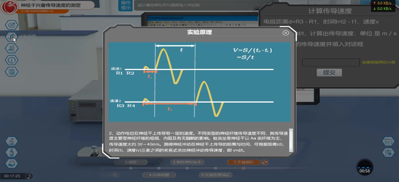 【机能实验学】实验2 神经干动作电位的观察、传导速度与不应期测定哔哩哔哩bilibili